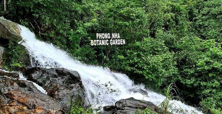 vuon phong nha